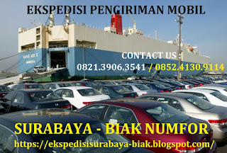 JASA EKSPEDISI PENGIRIMAN CARGO MOBIL (PICK UP TRUK COLT DIESEL/ CDD FUSO TRONTON TRAILER TANGKI DUMP TRUCK LOWBED CRANE)SURABAYA KE BIAK NUMFOR PAPUA MURAH