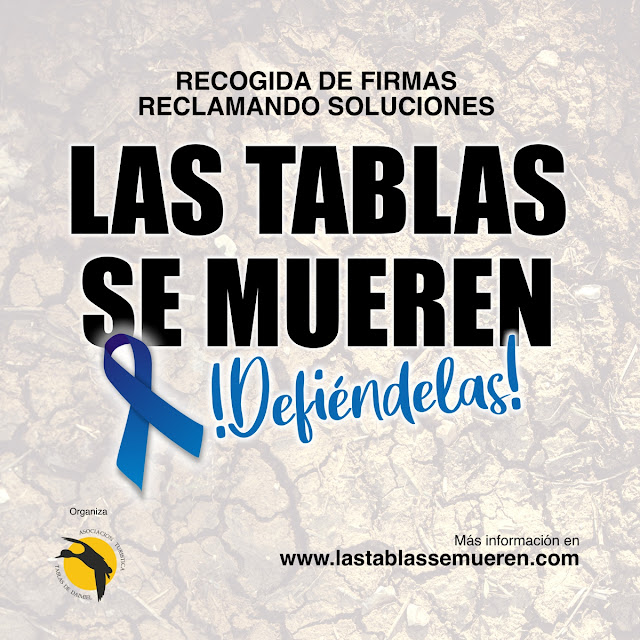 LAS TABLAS SE MUEREN, DEFIENDELAS