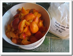 pesee-abricots_0781