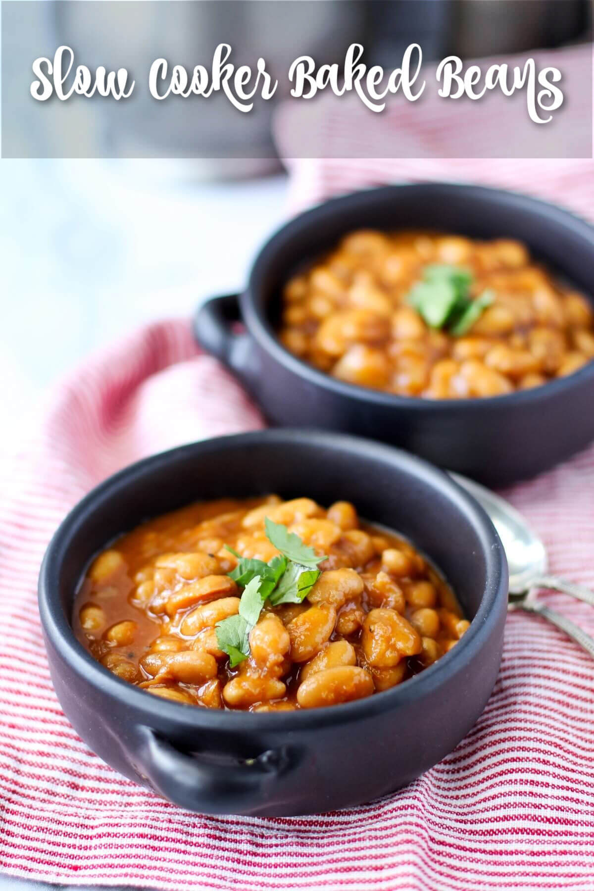 Crock Pot Baked Beans from Scratch