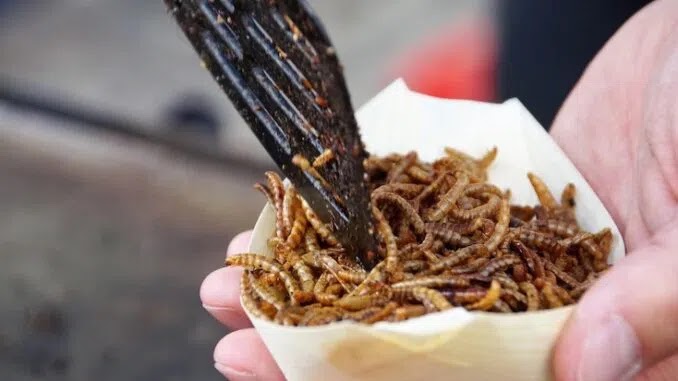 ‘You Will Eat Bugs and Be Happy’ – UK School Kids to Eat Mealworms as Part of ‘Great Reset’ Rollout