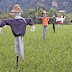 Garden Scarecrow Ideas