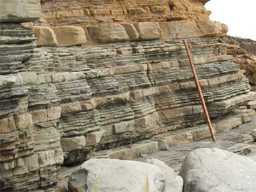 How to Identify Transgression and Regression in a Sedimentary Outcrop?