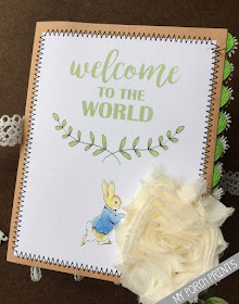 Beatrix Potter Baby Book Kit