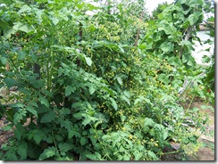 105_7090 105_7090