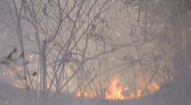 Número de incêndios registrados em vegetação entre agosto e outubro é cinco vezes maior que no mesmo período de 2017 (Foto: Reprodução/ TV Santa Cruz)