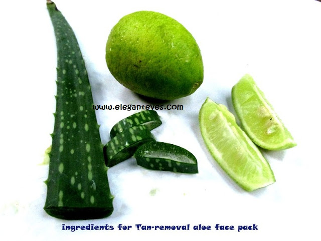 Aloe Vera: The Plant of Immortality and its Beauty Usages!