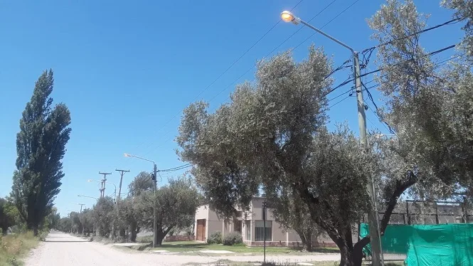 Vecinos critican que hay luces de la calle encendidas de día