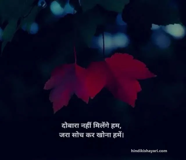 sad shayari, sad shayari in hindi, emotional sad shayari, breakup shayari, heart touching shayari, sad love shayari, sad shayari image, zindagi sad shayari, sad shayari in hindi for life, sad lines in hindi, sad shayari status, broken heart shayari in hindi, breakup shayari in hindi, dosti sad shayari, sad shayari on life, sad love shayari in hindi, sad hindi quotes, alone sad shayari heart touching breakup shayari, love sad quotes in hindi, shayari broken heart, dard sad shayari, status hindi sad,