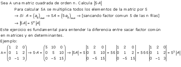 determinante 6