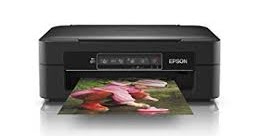 Epson Inkjet Printer Xp-225 Drivers - Epson Expression Home Xp 225 Driver Download Support Drivers