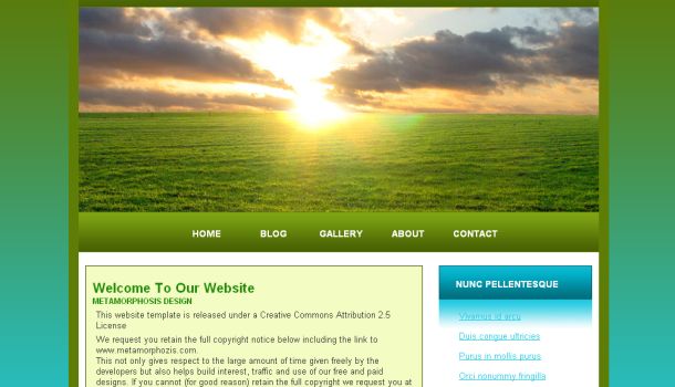 Blue Green Free CSS Website Template