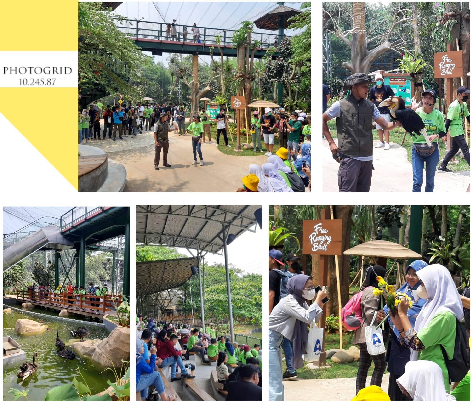 Jakarta Bird Land Ancol, Wisata Edukasi, Konservasi dan Pelestarian Alam