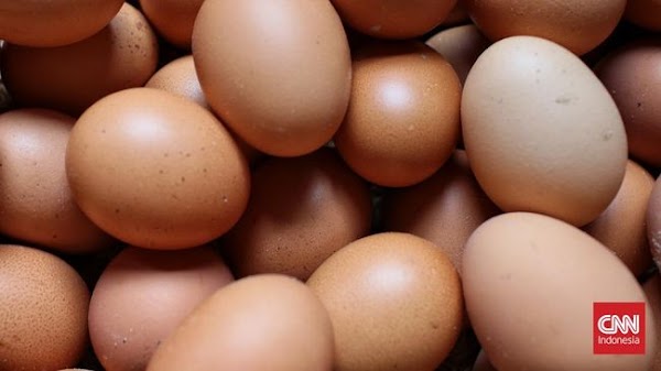 Harga Telur Naik ke Atas Rp30 Ribu per Kilogram di Sejumlah Daerah