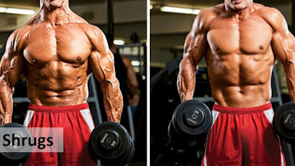 5 best exercise for big traps, Shrugs