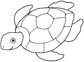 turtle color in sheet