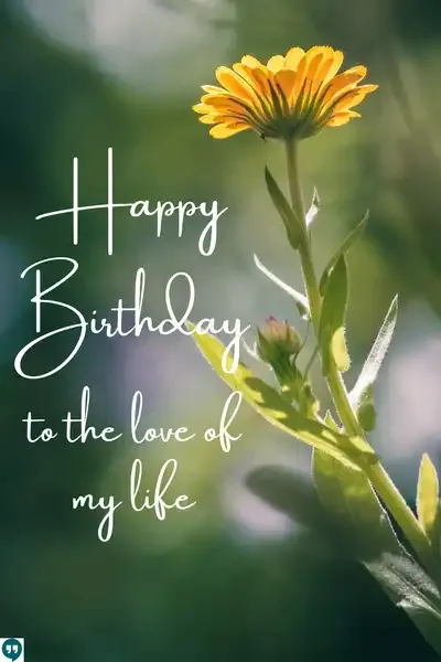 happy birthday to the love of my life images with yellow flower