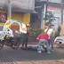 Huauchinango: Motociclista es lesionado tras ser impactado por Vehículo (VIdeo)