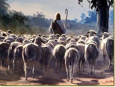 Why does God call us sheep?