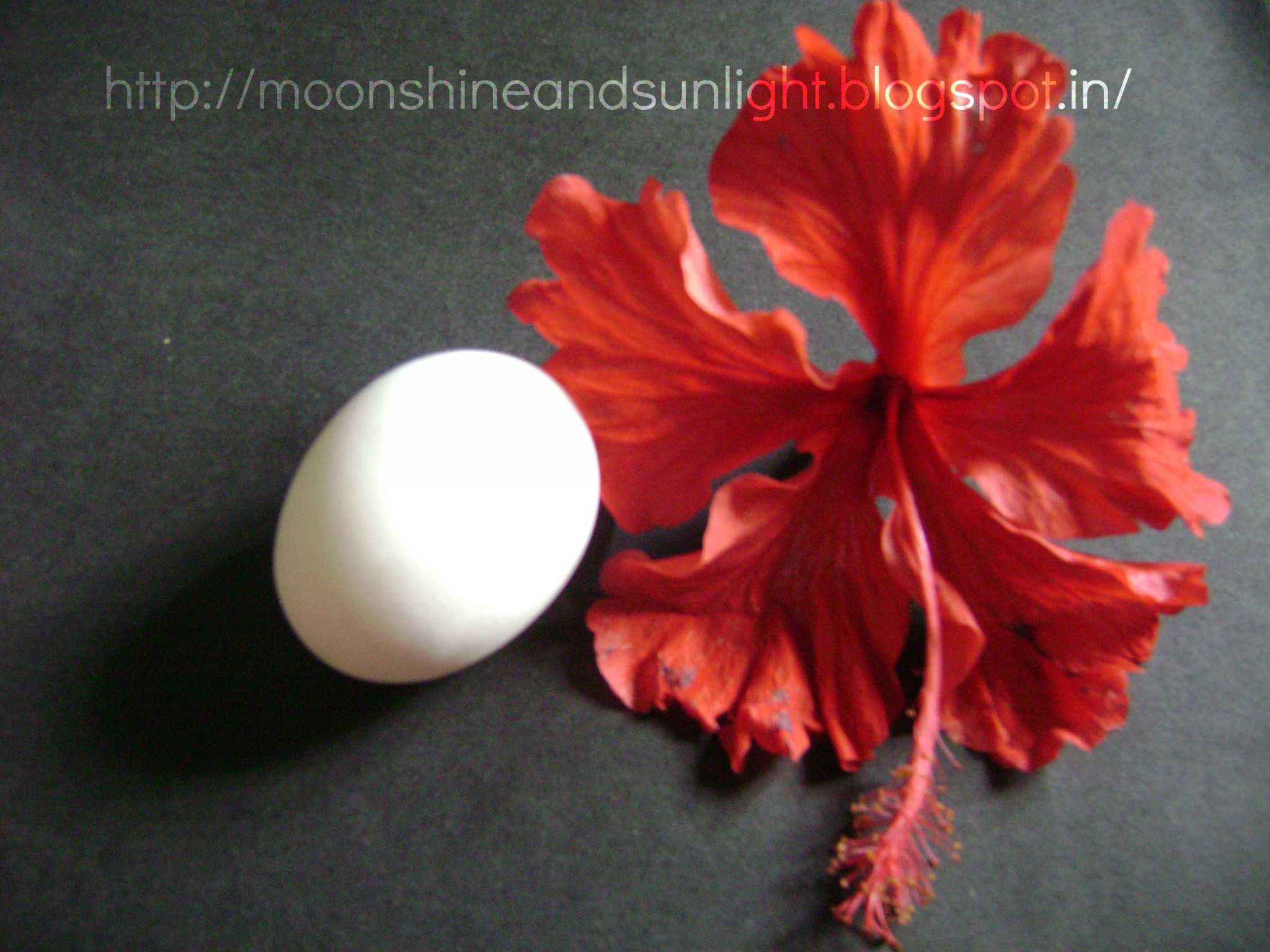 Egg and hibiscus flower. Joba phool hair pack mask easy do it yourself tips for dry hair