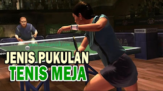 Macam-macam Pukulan Pada Tenis Meja