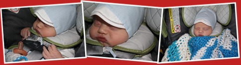 View Willie is his car seat for the 1st time!