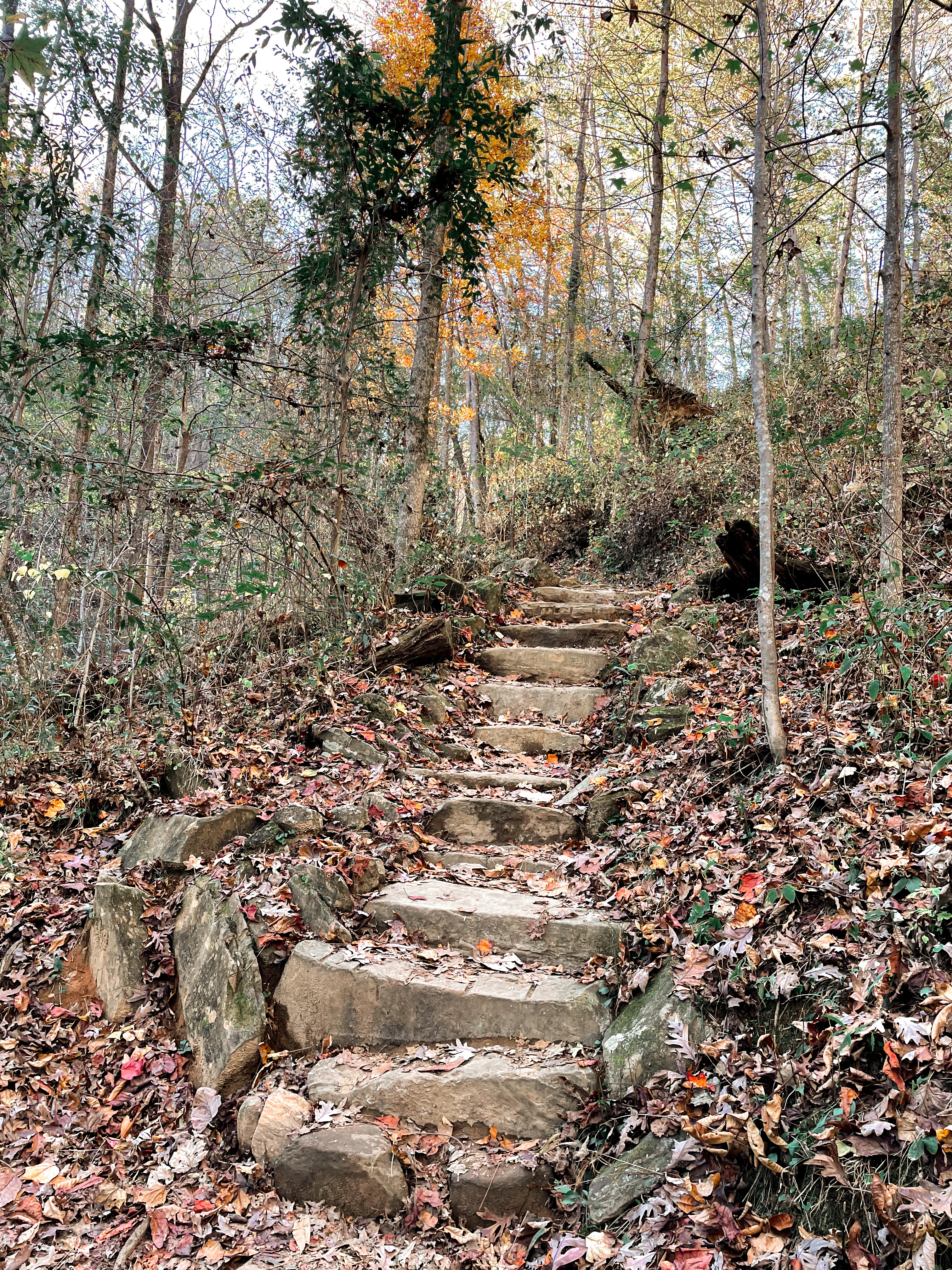 Carrick Creek Trail