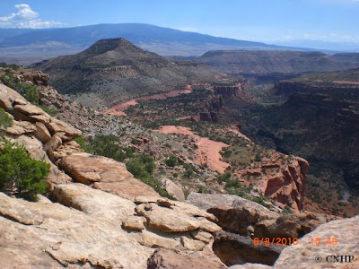 Big Dominguez Canyon