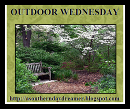 Outdoor-Wednesday-button_thumb1_thum
