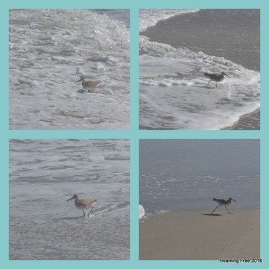 030416_Space Coast