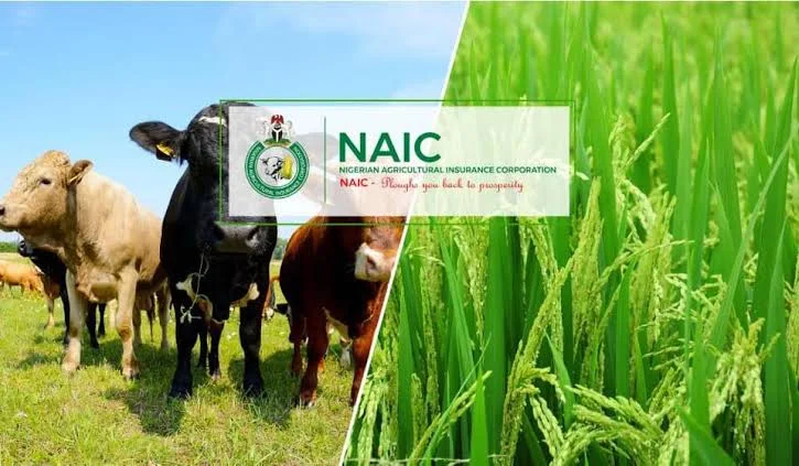 Governors Tasked to educate farms on functions of NAIC
