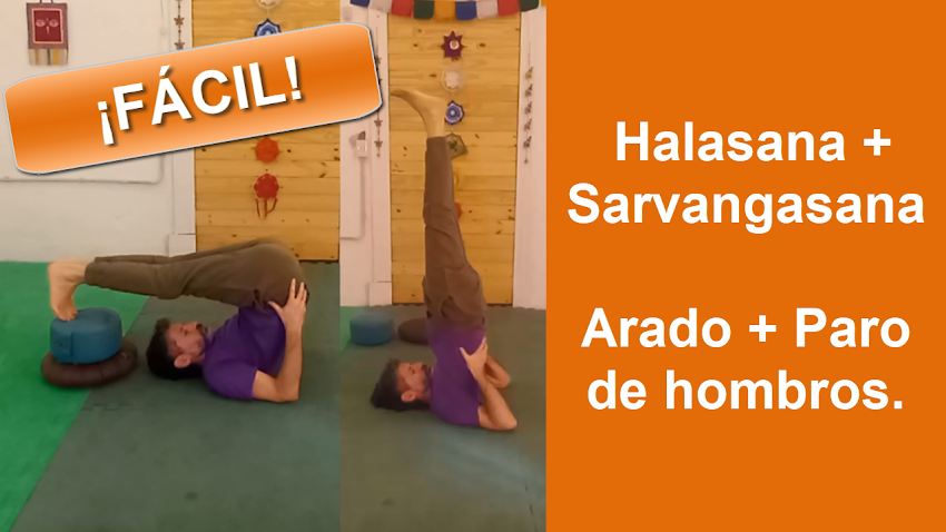 Video: Arado + Paro de hombros ¡Fácil! De Halasana a Sarvangasana.