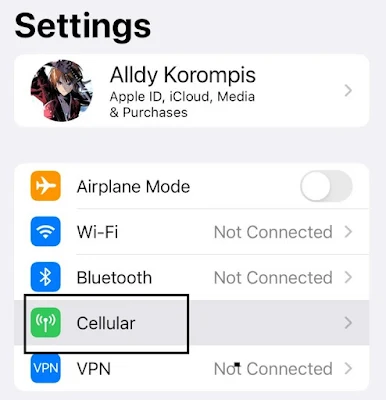 Cellular iOS 16