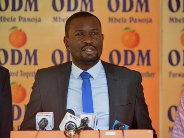 ODM secretary-general Edwin Sifuna photo