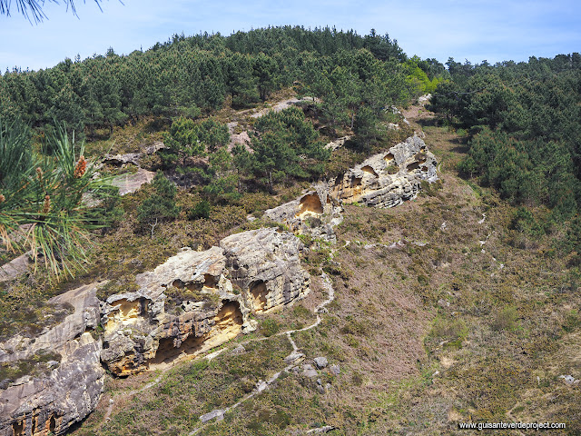 Labetxu, parte alta - El Guisante Verde Project