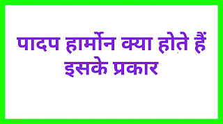 पादप हार्मोन क्या होते हैं इसके प्रकार की जानकारी