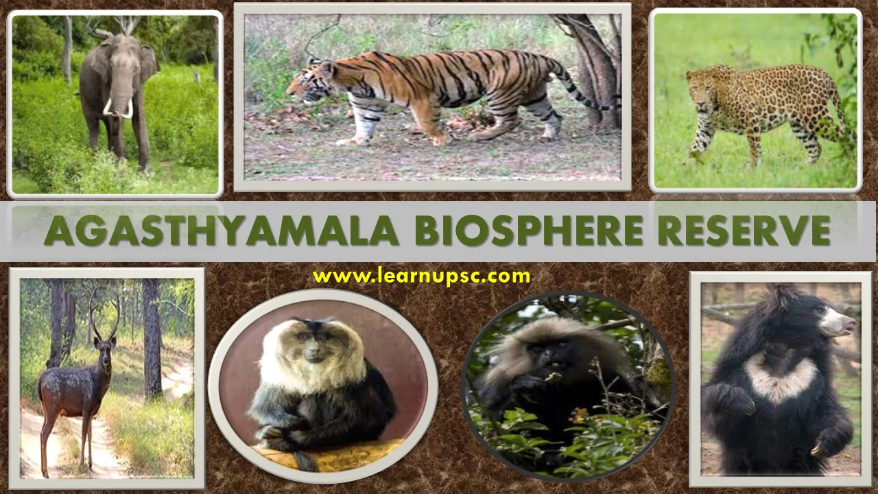 Agasthyamala Biosphere Reserve