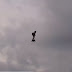 Finally, Someone Invented and Tested A Hoverboard That Actually Flies