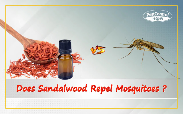 does-sandalwood-repel-mosquitoes