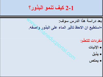 شرح درس كيف تنمو البذور في العلوم للصف الخامس الفصل الاول