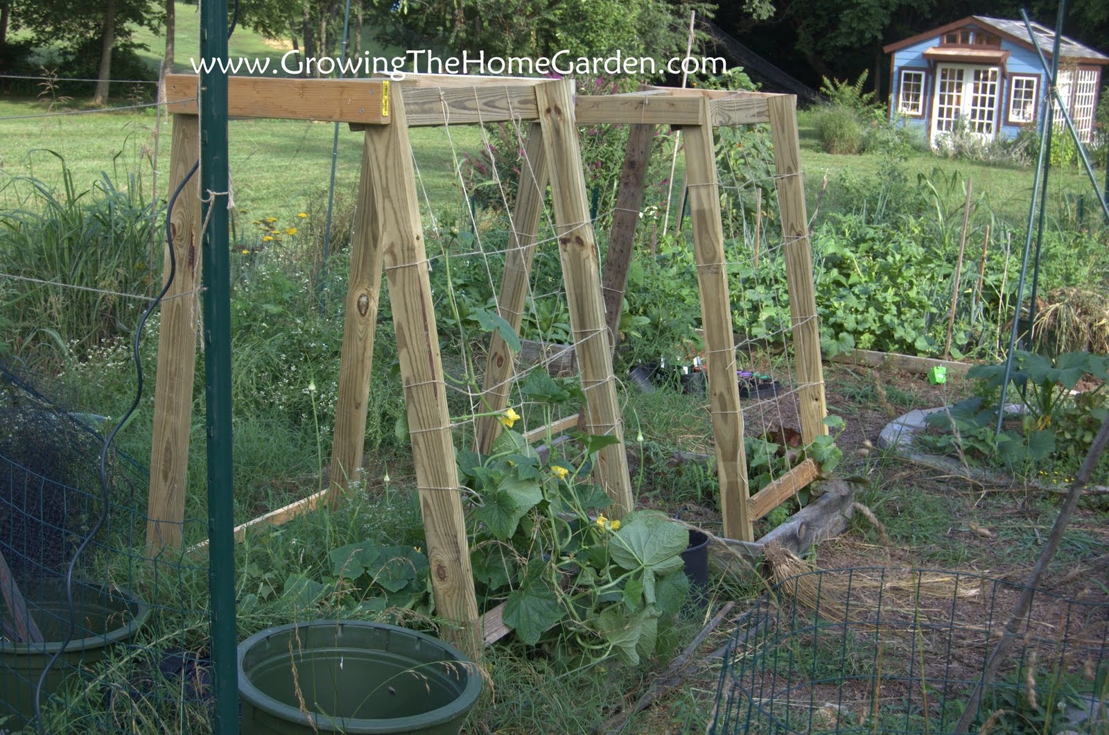 Cucumber Trellis Ideas