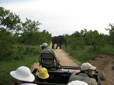 kruger south africa