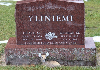 George and Grace Yliniemi