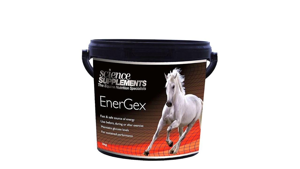 Energy Supplements For Horses