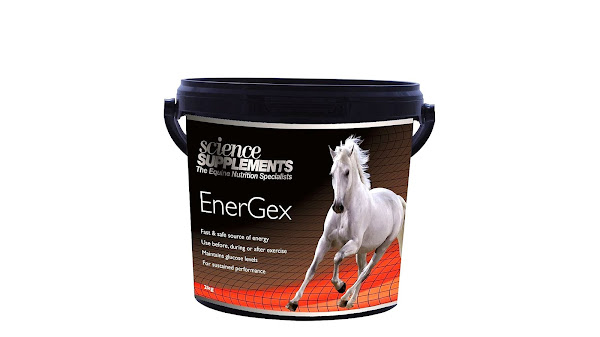 Energy Supplements For Horses