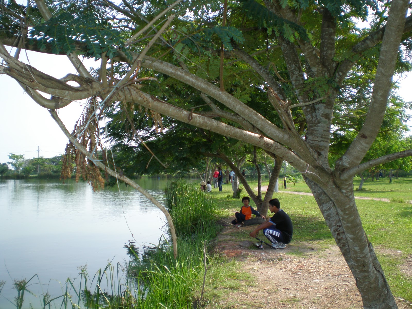 Hjlutfi-choras.blogspot.com: Pendang Lake Resort