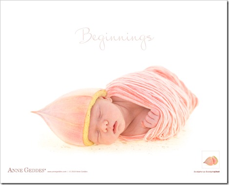 anne geddes wallpapers. Baby Fever and Anne Geddes