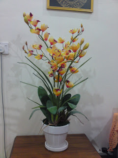 My Beautiful Life Bunga Orkid Kuning