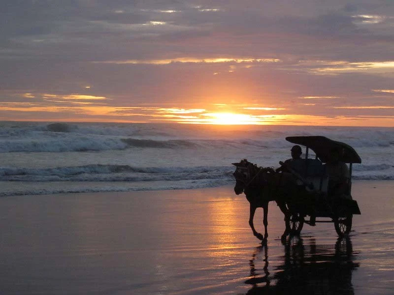 Fasilitas Wisata di Pantai Parangtritis Jogja