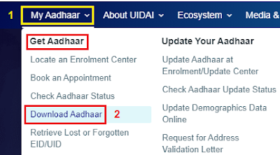 How To Download Electronic Copy of Your Aadhaar Card